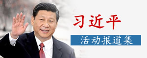 习近平活动报道集